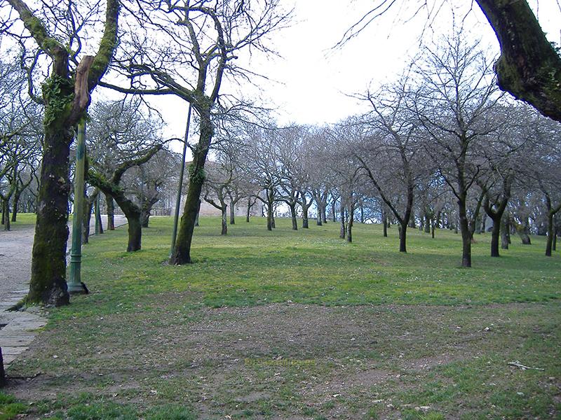 La Carballeira de Santa Susana