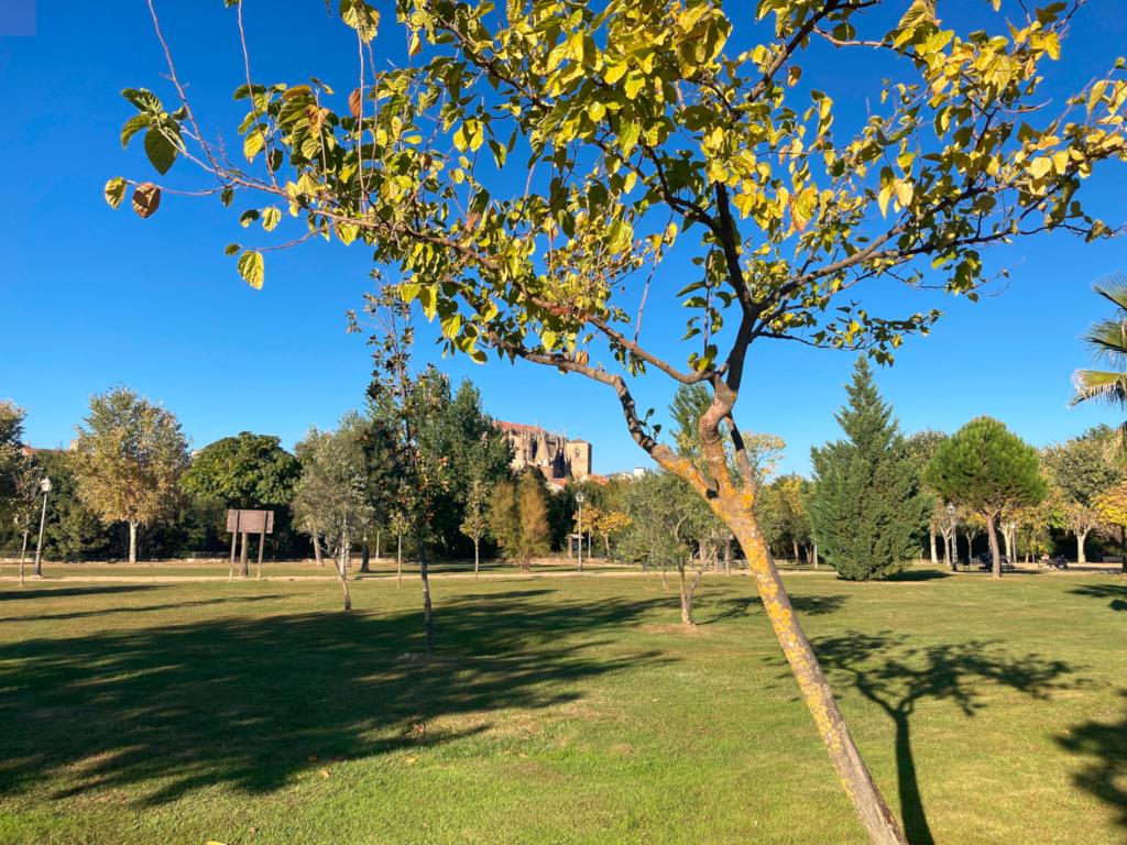 Parque del Cachón, Plasencia