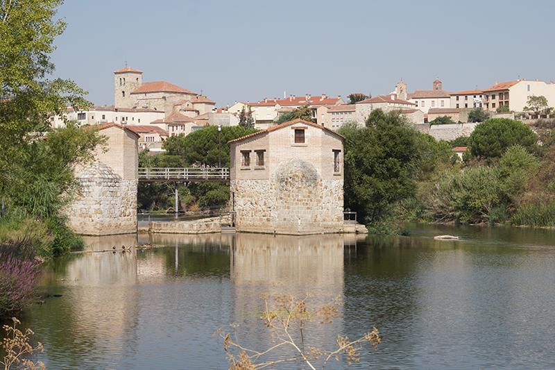 Aceñas de Cabañales, Zamora