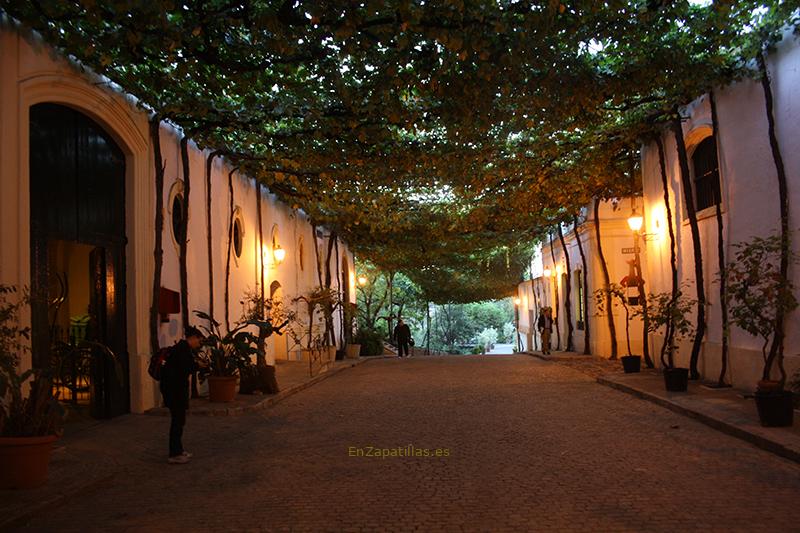 Bodegas González-Byass, Jerez de la Frontera (Cádiz)