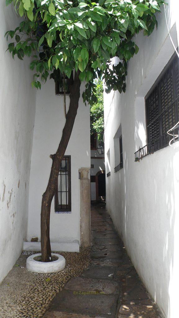 Calleja del pañuelo, Córdoba