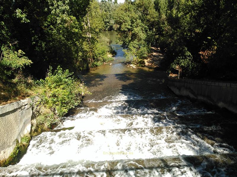 Desembocadura río Esgueva, Valladolid