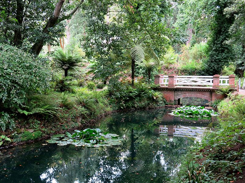 Jardín Botánico Atlántico, Gijón