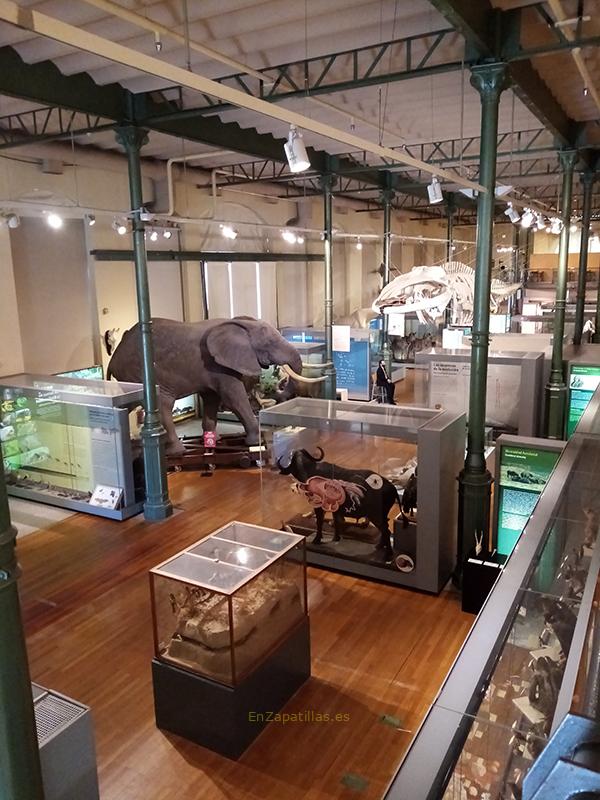 Museo de Ciencias Naturales Madrid