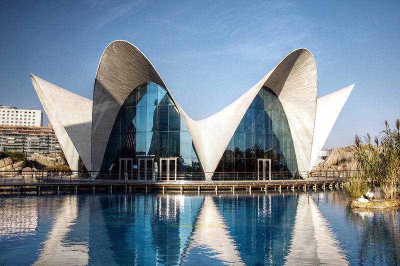 Oceanográfic, Valencia
