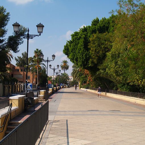 Paseo del Malecón, Murcia