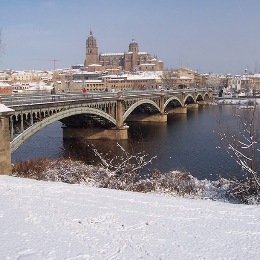 Puente Enrique Estevan, Salmanca
