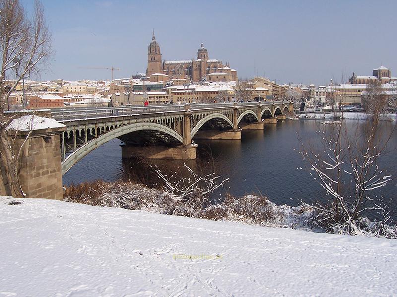 Puente de Enrique Estevan, Salamanca