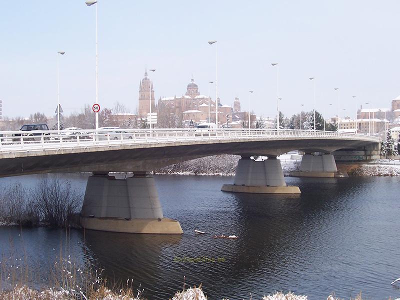 Puente Felipe VI, Salamanca