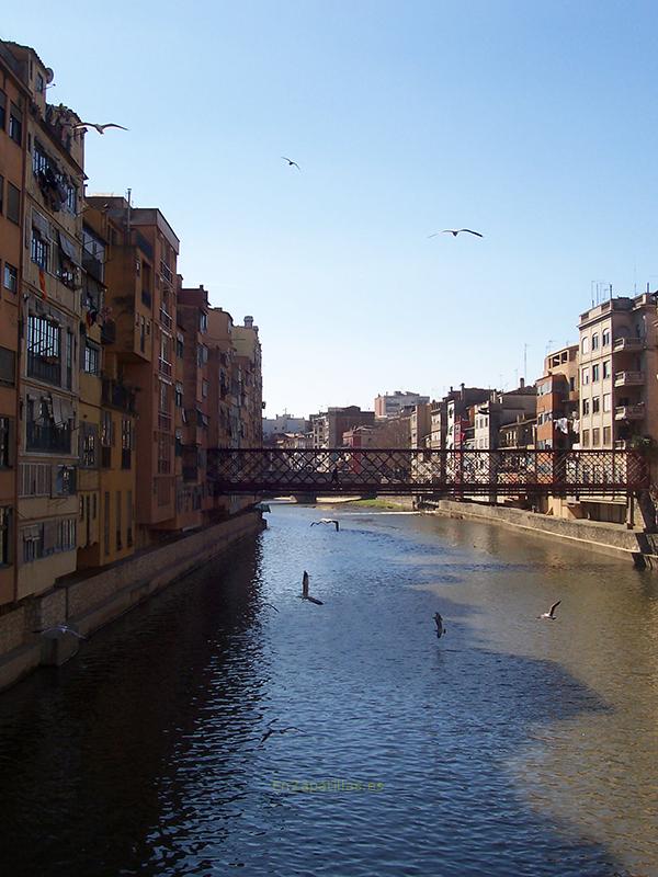 Puente de las Pescaderías Viejas, Girona
