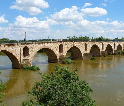 Puente de Piedra, Zamora