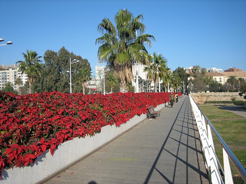 Puente de las Flores, Valencia