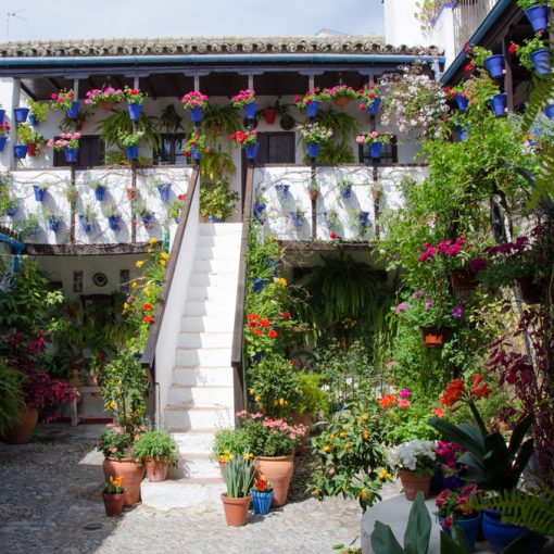 Calle San Basílio, 44, Córdoba