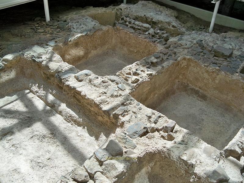 Factoría de Salazones del Rectorado, Málaga