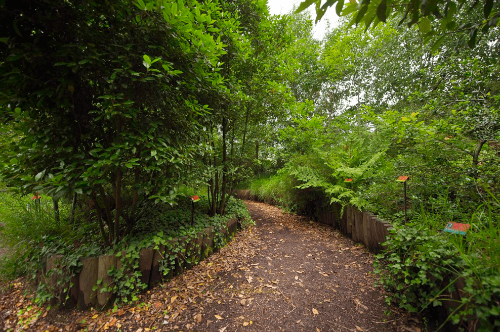 Entorno Cantábrico, Jardín Botánico Atlántico de Gijón