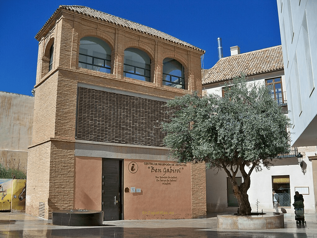 Centro recepción visitantes, Málaga