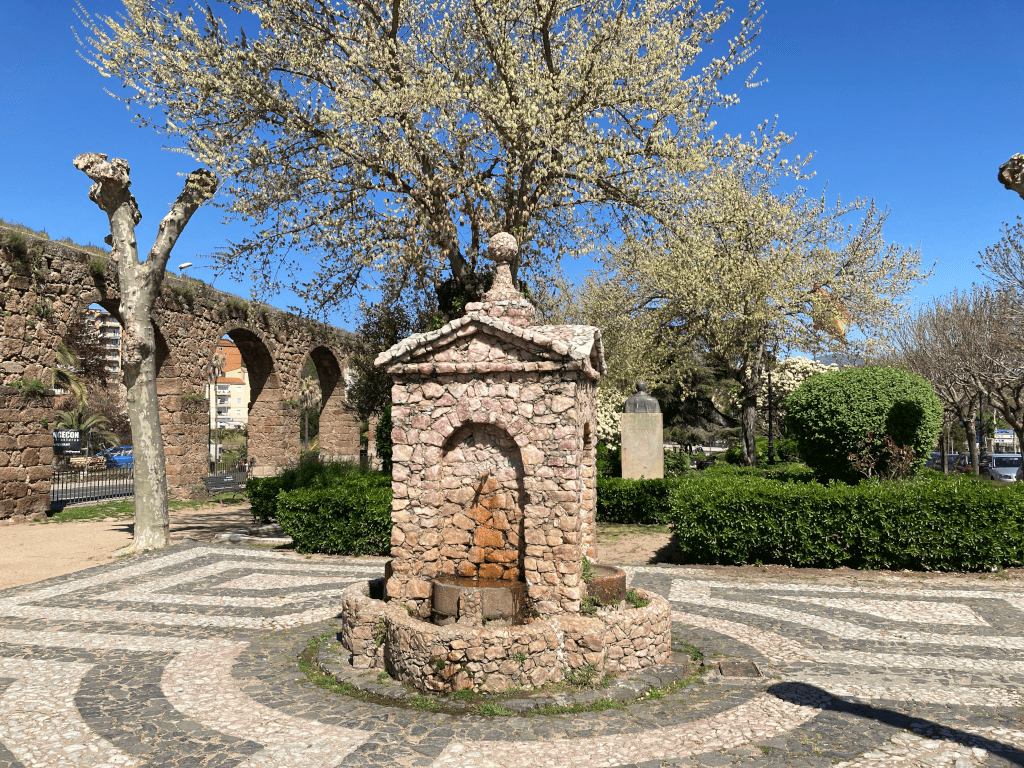 Fuente rosa, Plasencia
