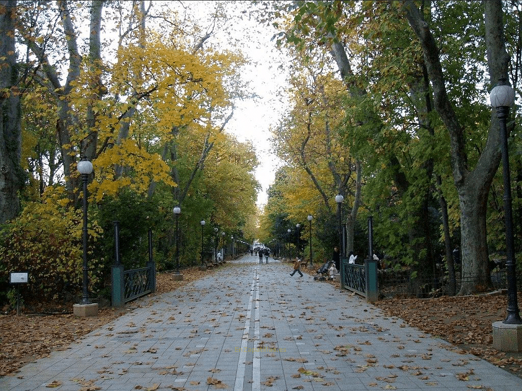 Ruta Campo Grande de Valladolid