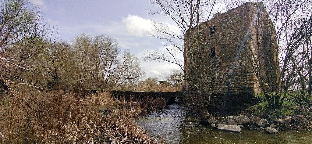 Aceñas de los Pisones, Zamora